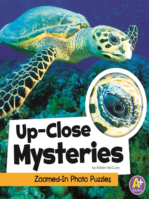 Cover image for Up-Close Mysteries
